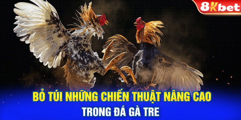 Bỏ túi những chiến thuật nâng cao trong đá gà tre 