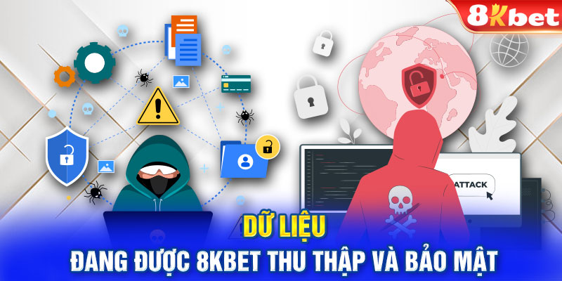 Dữ liệu đang được 8KBET thu thập và bảo mật